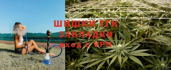 ECSTASY Балахна