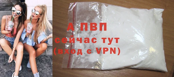 ECSTASY Балахна