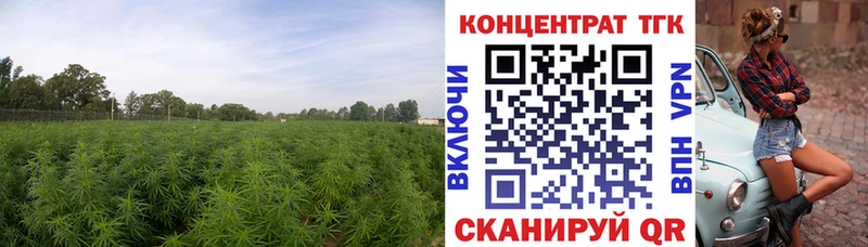 ТГК вейп цены Козельск